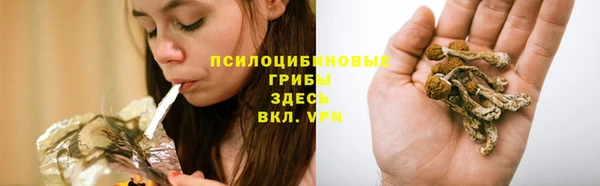 круглые Верея