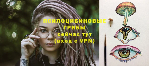 гашик Волоколамск
