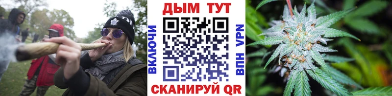 Купить закладки  Саки  Шишки марихуана план 